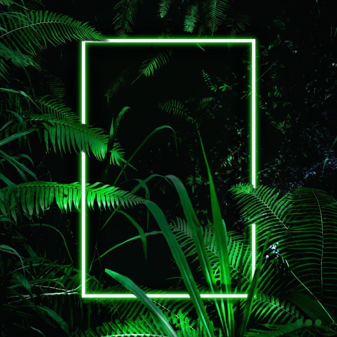 A neon green frame on a black background with a plant - Jungle