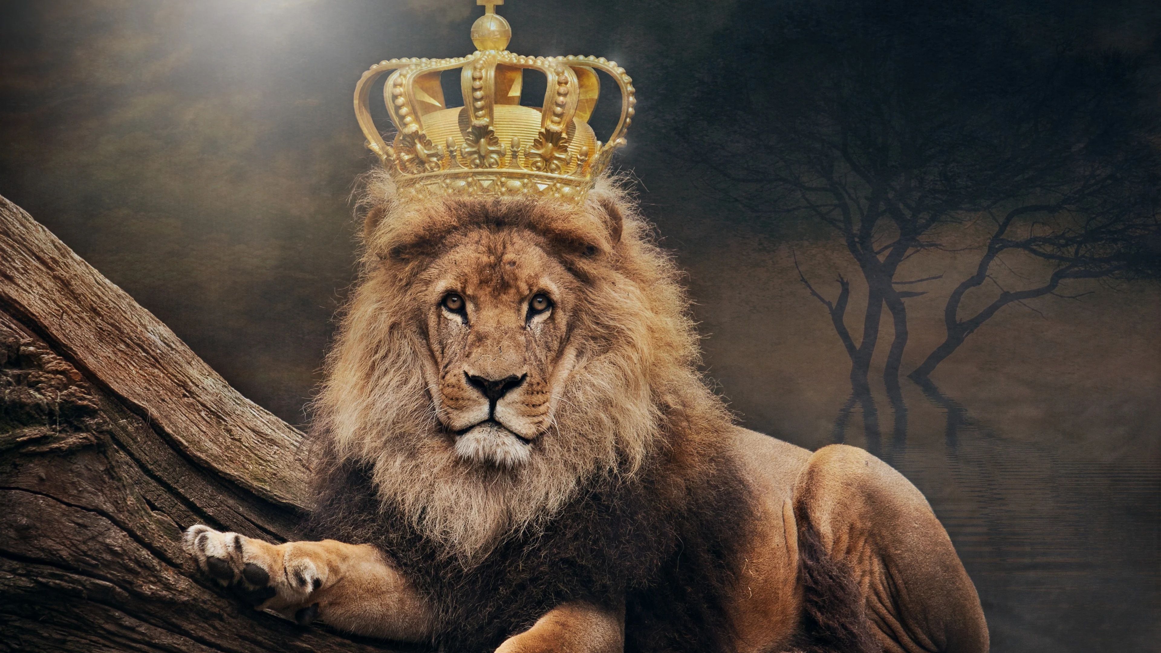 King crown Wallpaper Download