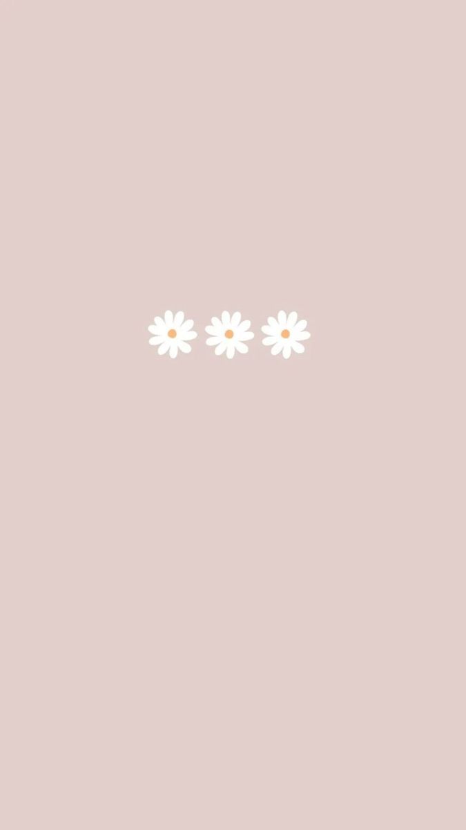 Three daisies on a pink background - Pastel minimalist