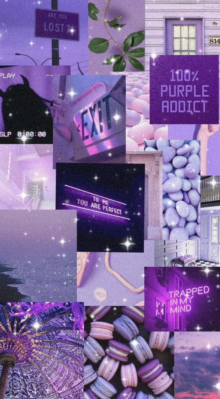 A collage of pictures with purple backgrounds - Cute purple