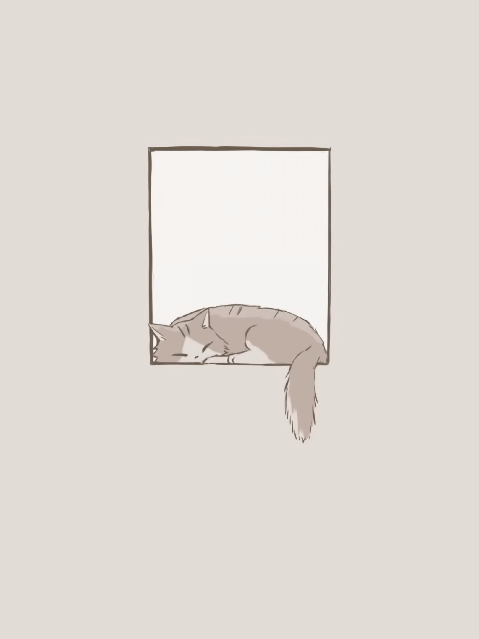 A cat sleeping in the window - Phone