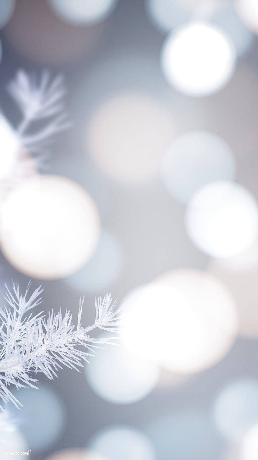 Closeup of a white Christmas tree branch with bokeh background - White Christmas
