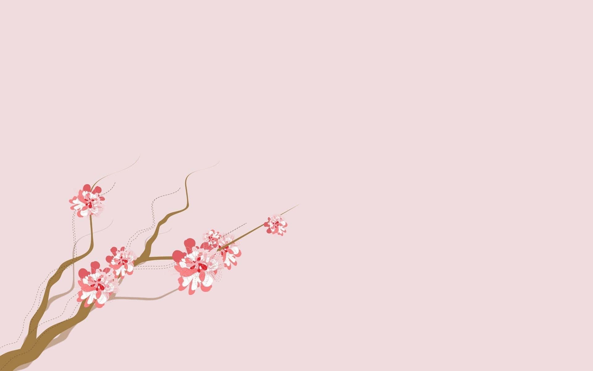 Download Aesthetic Cherry Blossom Wallpaper