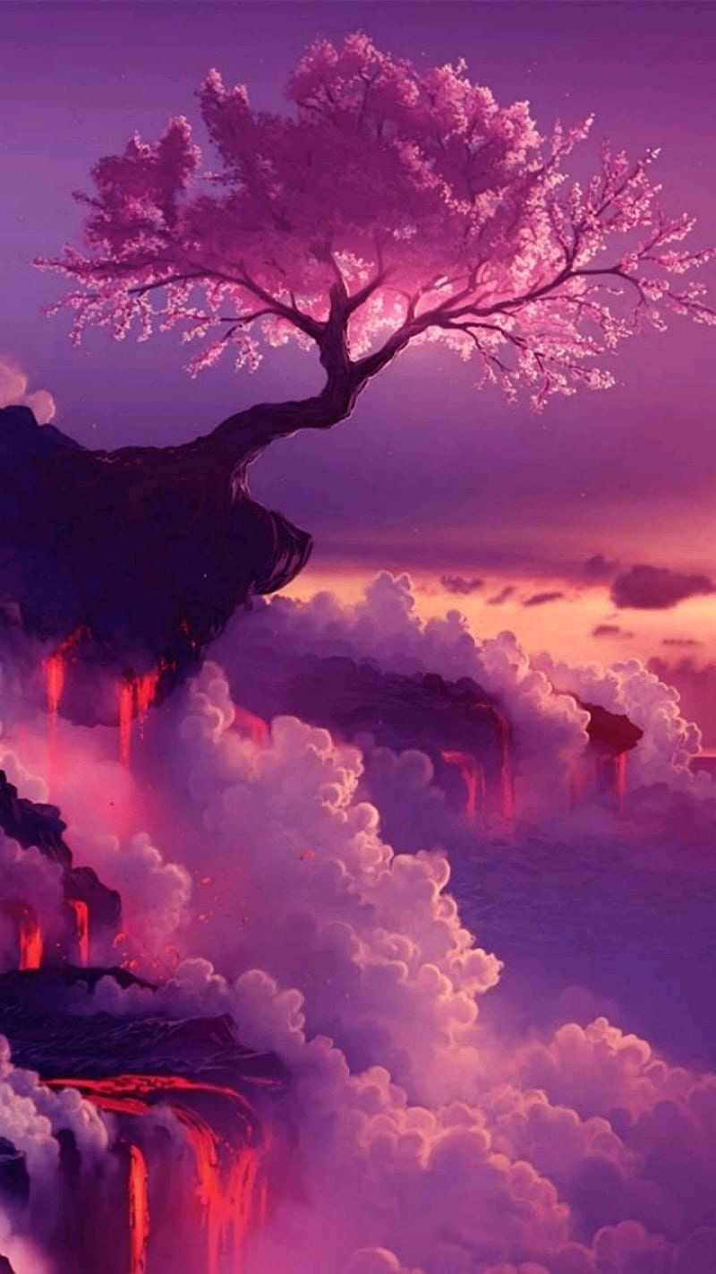 A tree on top of the mountain with purple clouds - Cherry, cherry blossom