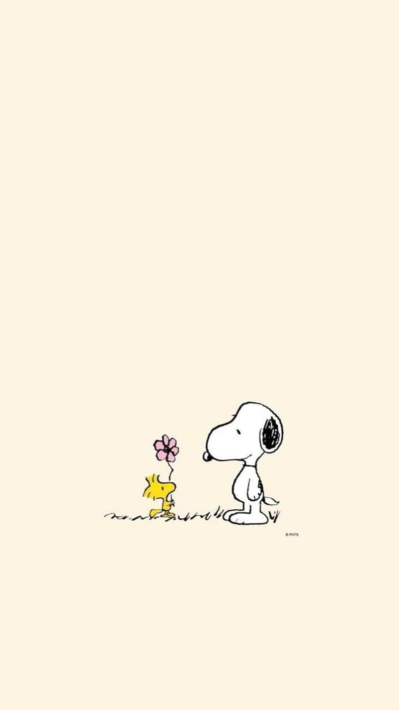 A picture of snoopy with a flower - Snoopy