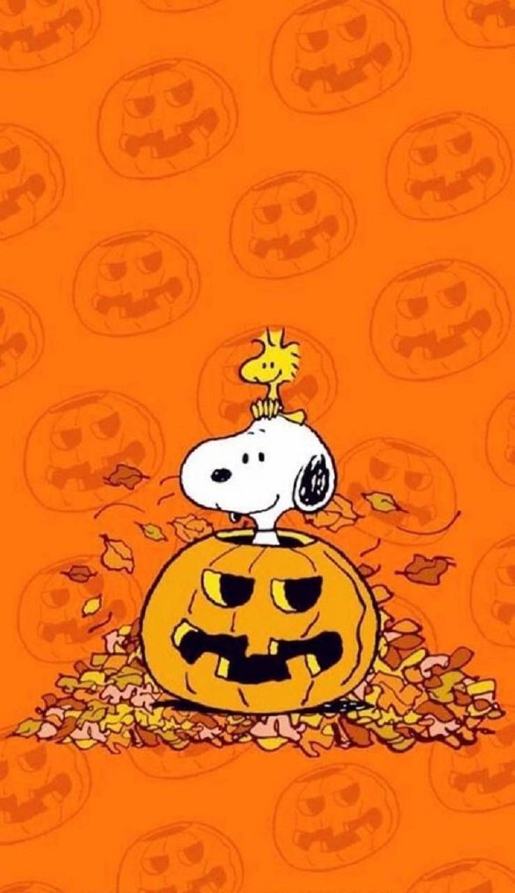 Halloween snoopy phone wallpaper - Snoopy