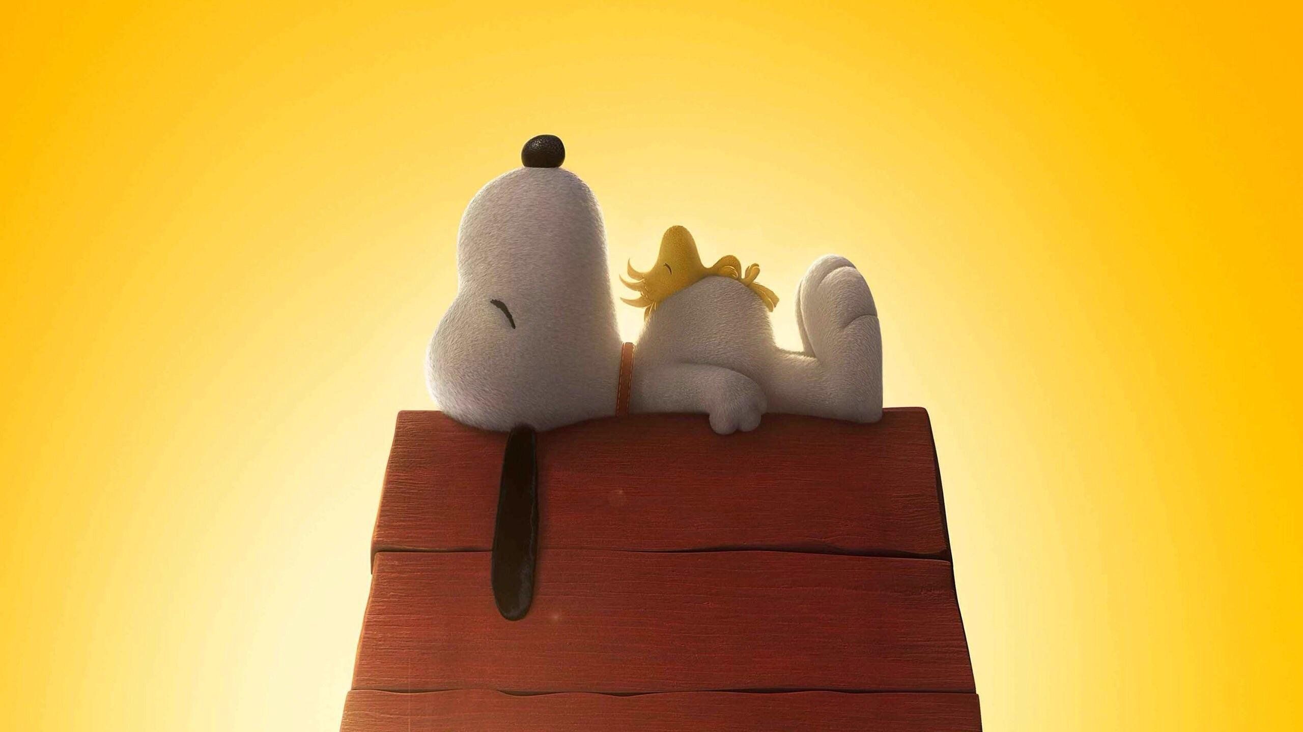 Snoopy 4K wallpaper for your desktop or mobile screen free and easy to download