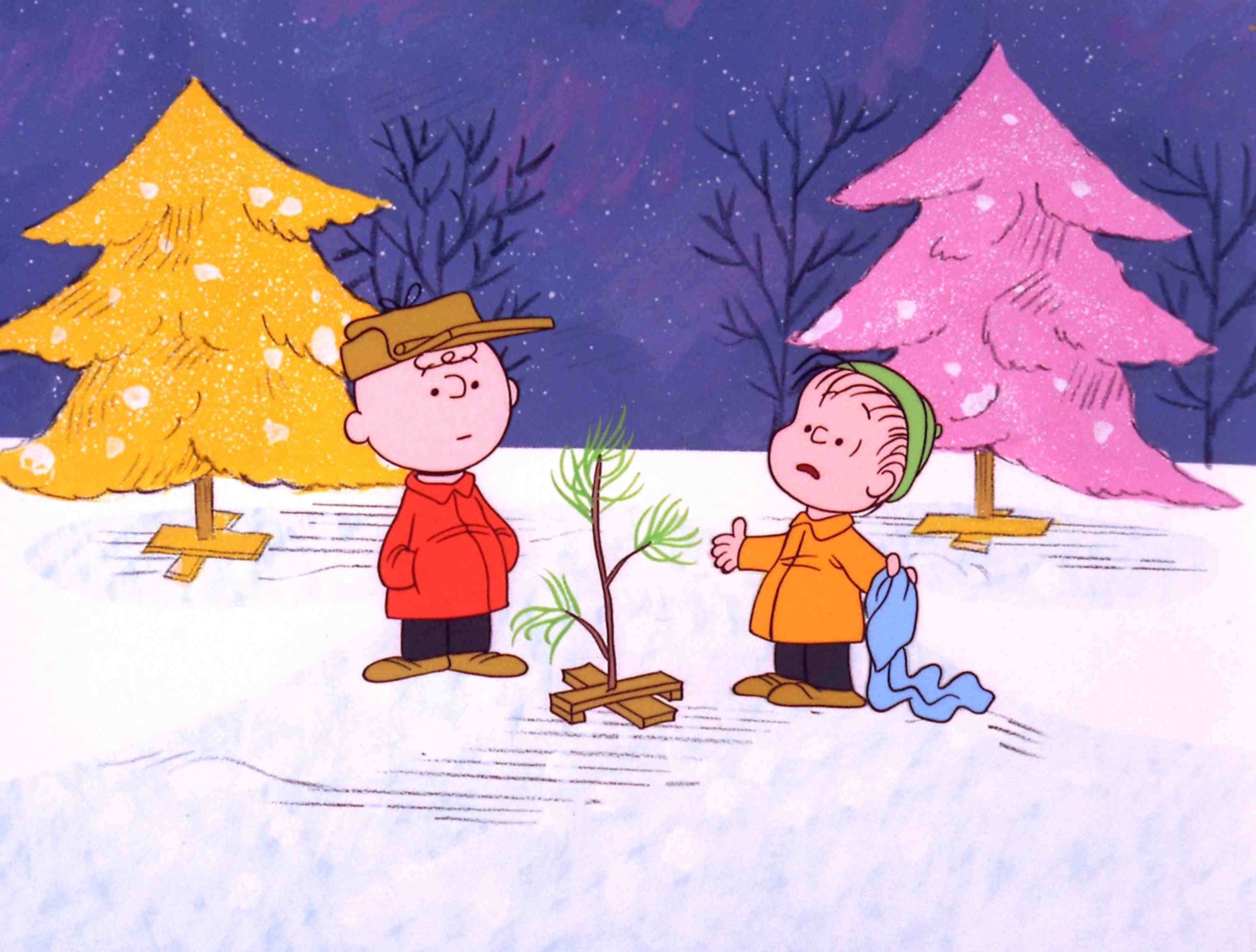 Charlie Brown and Linus look at a small tree they just planted. - Winter, Snoopy, Charlie Brown