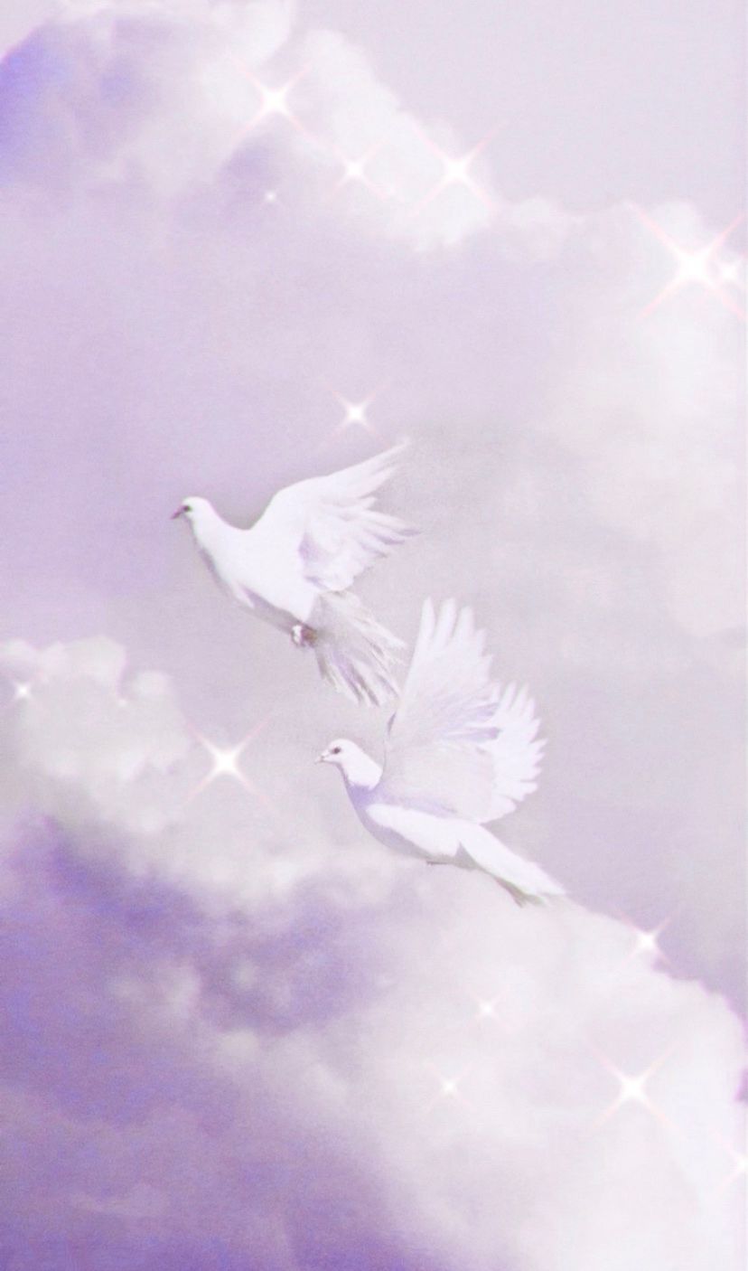 Two white doves flying in the sky - 