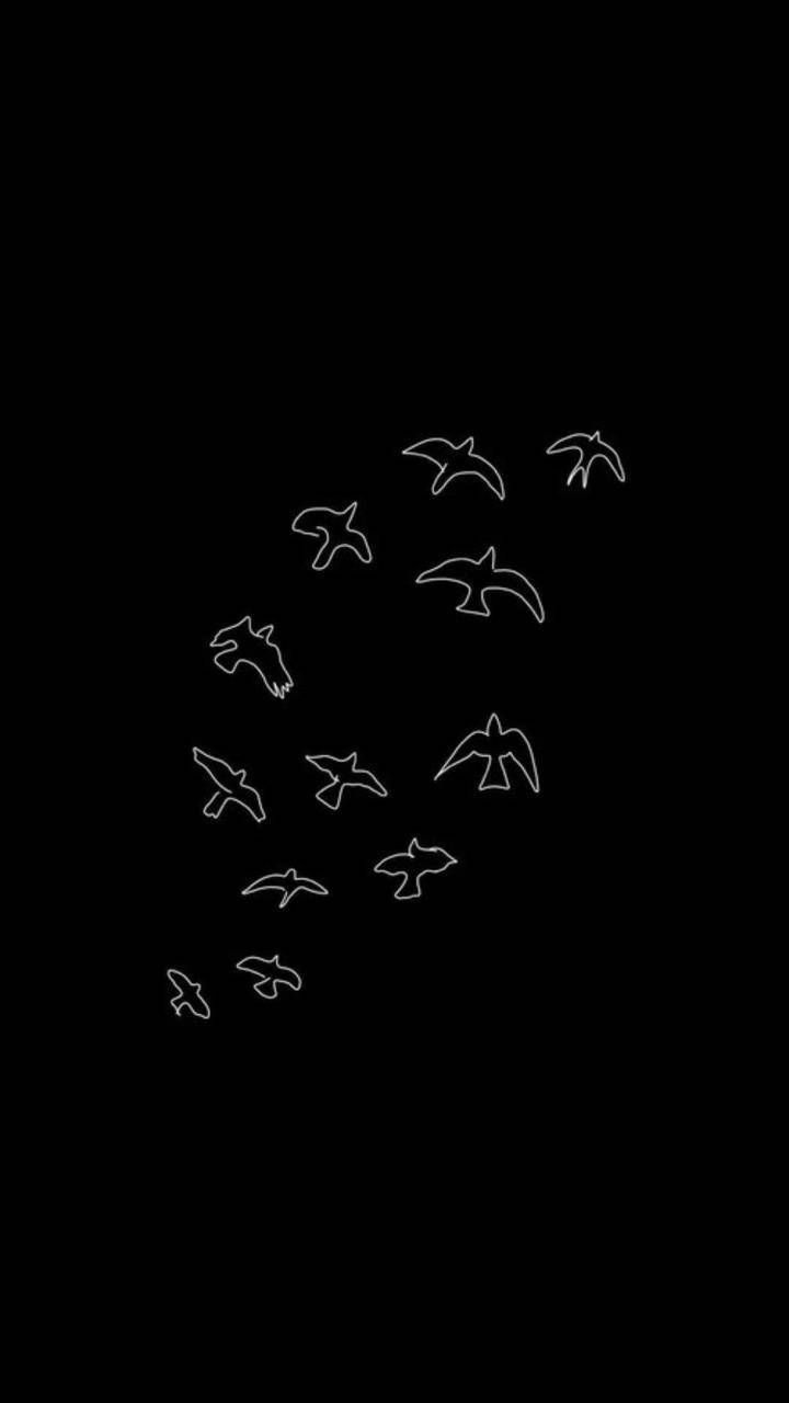 A black and white drawing of birds flying - 
