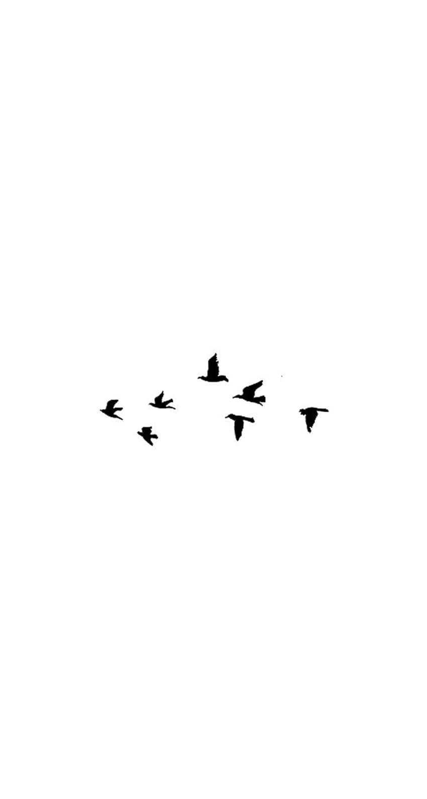 Silhouette of a flock of birds flying in the sky - 