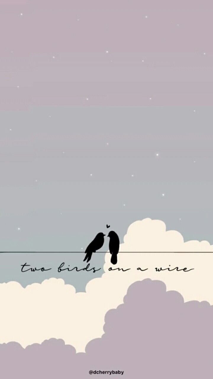 Two birds on a wire - 