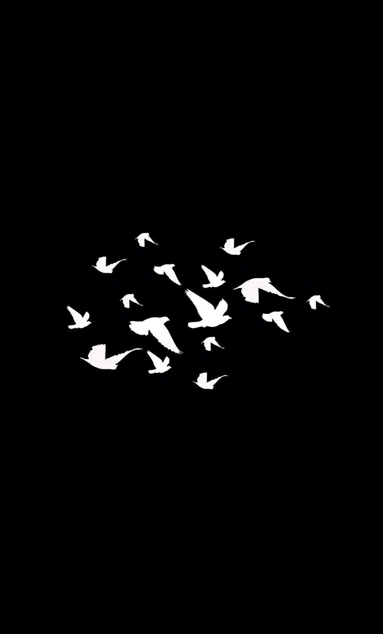 A flock of birds flying in the dark - 