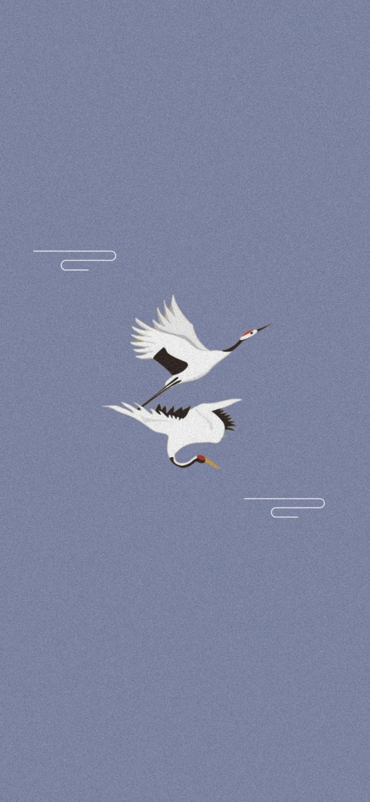 A pair of white cranes flying in the sky - 