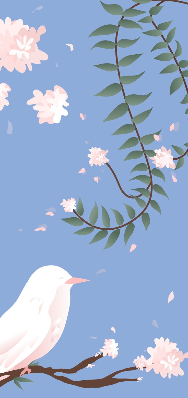 A white bird on a tree branch with cherry blossoms - 