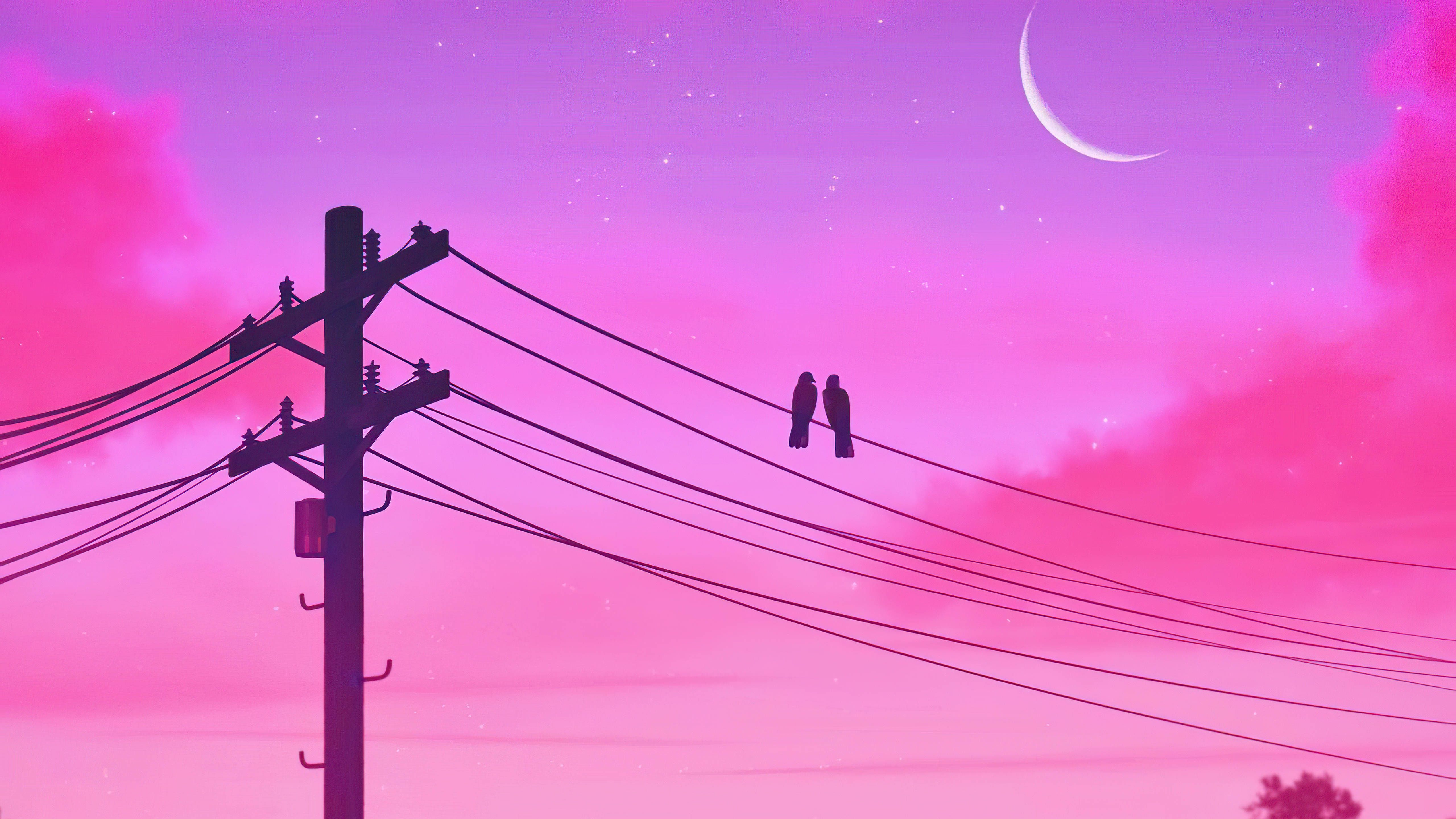 A couple on the power lines at sunset - 