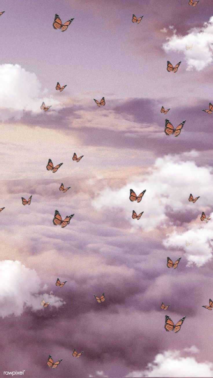 Aesthetic wallpaper of butterflies flying in the sky - 