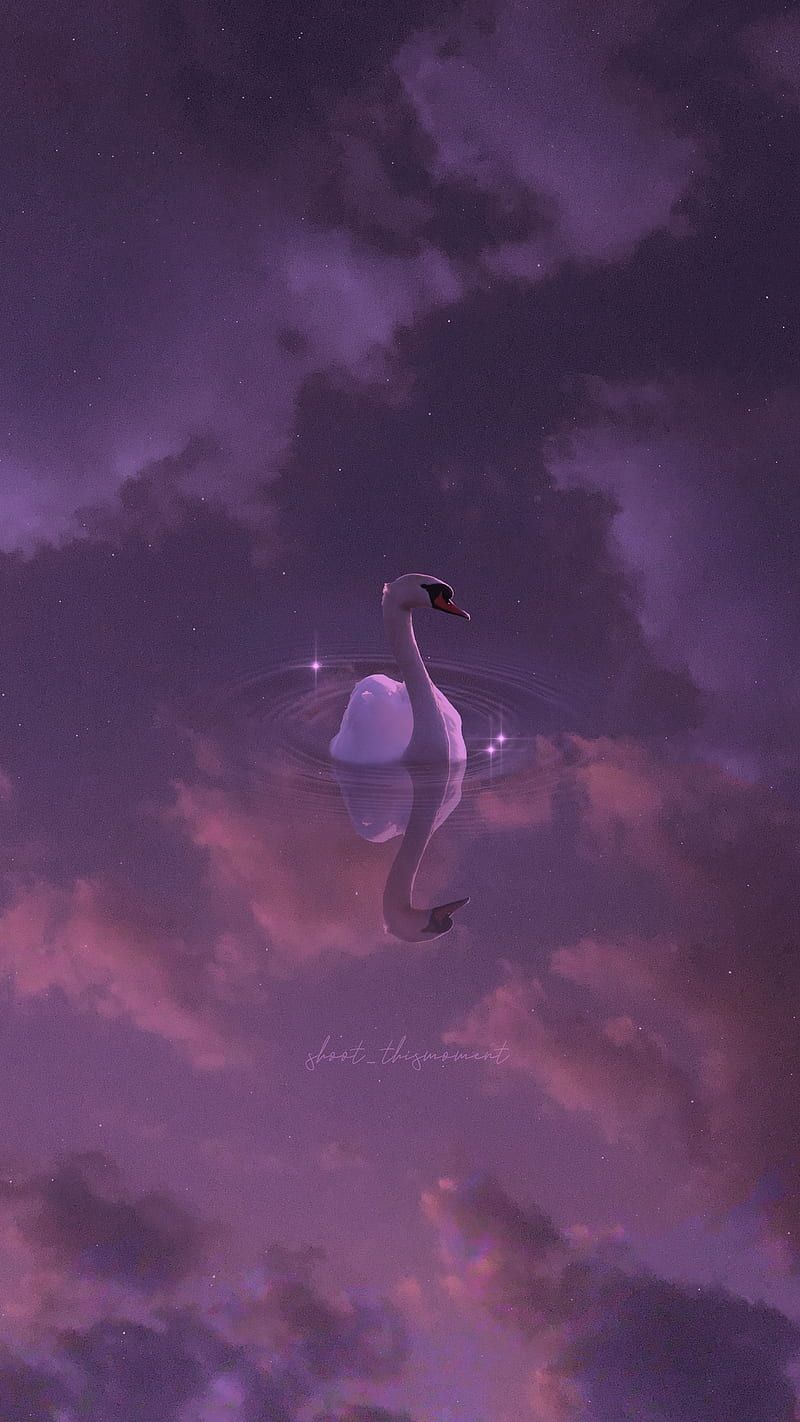 A swan floating in the sky with clouds - 
