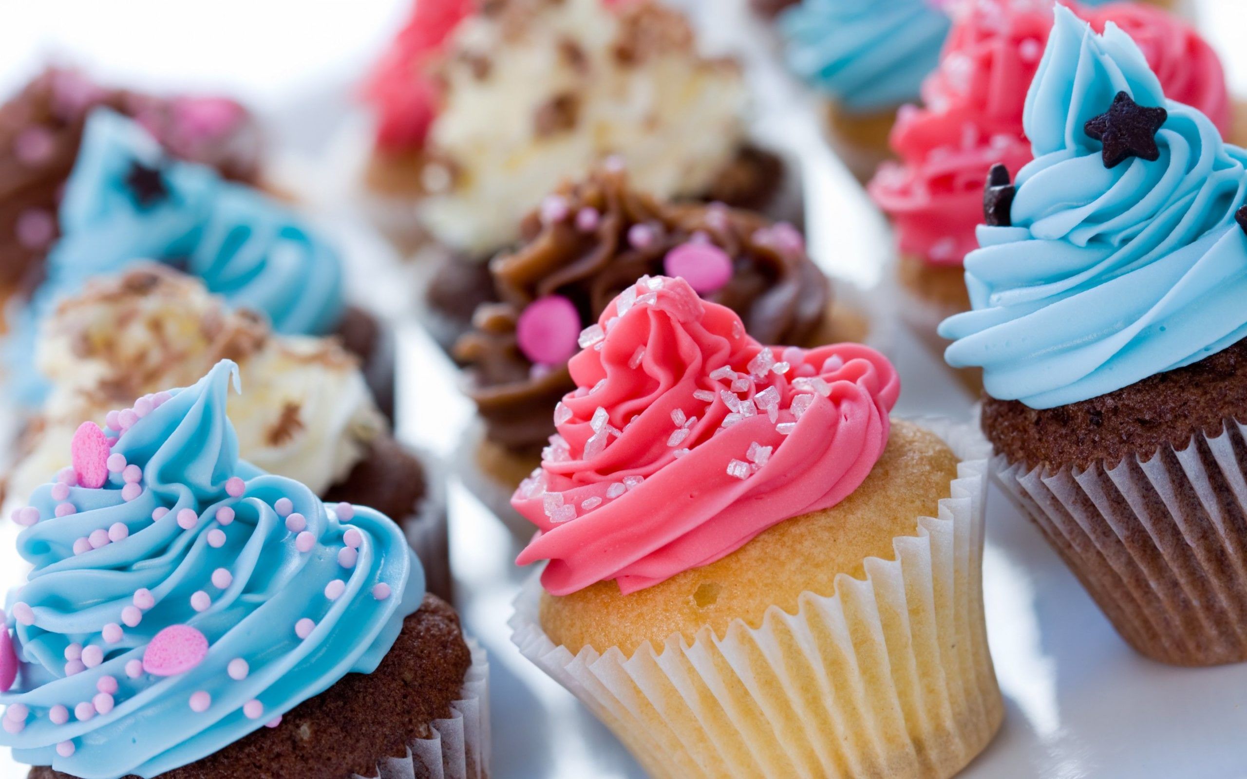 A tray of cupcakes with different colors and frostings - Cupcakes