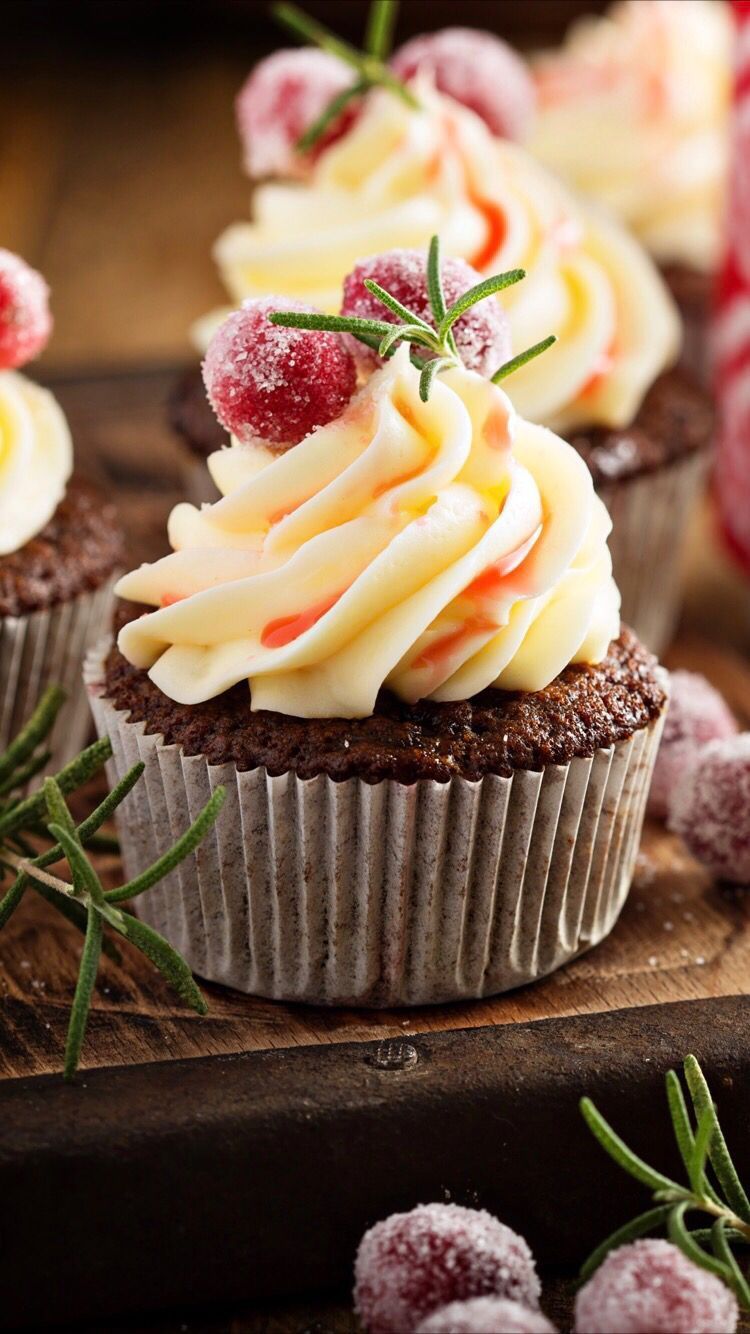 A chocolate cupcake with white frosting and a sugared cranberry on top. - Cupcakes