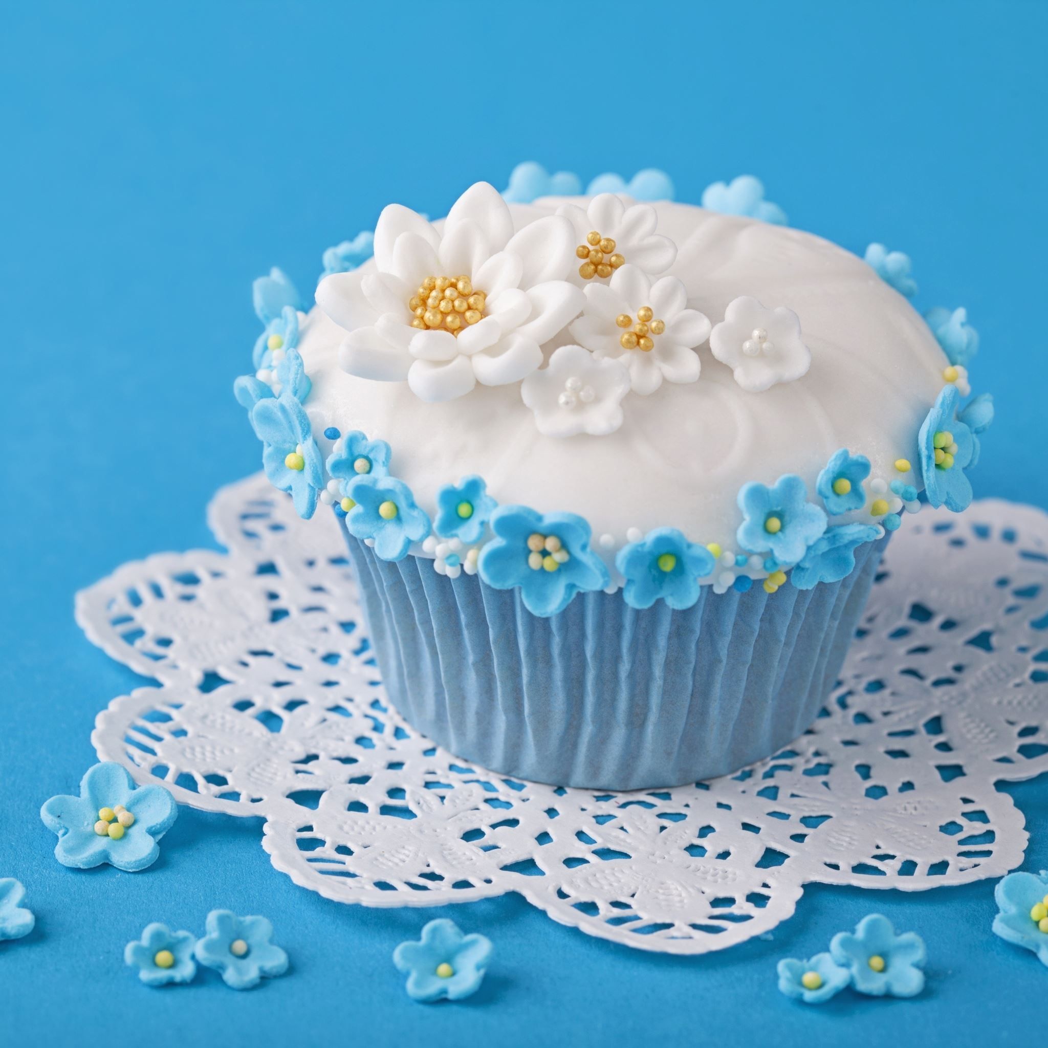A cupcake with white frosting and blue flowers on a blue background. - Cupcakes
