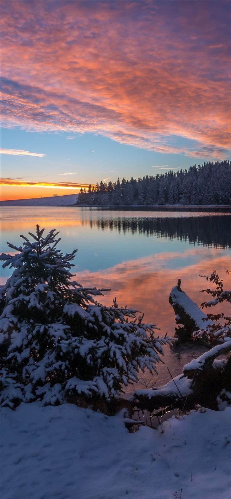 A snowy lake at sunset with trees in the background - Lake