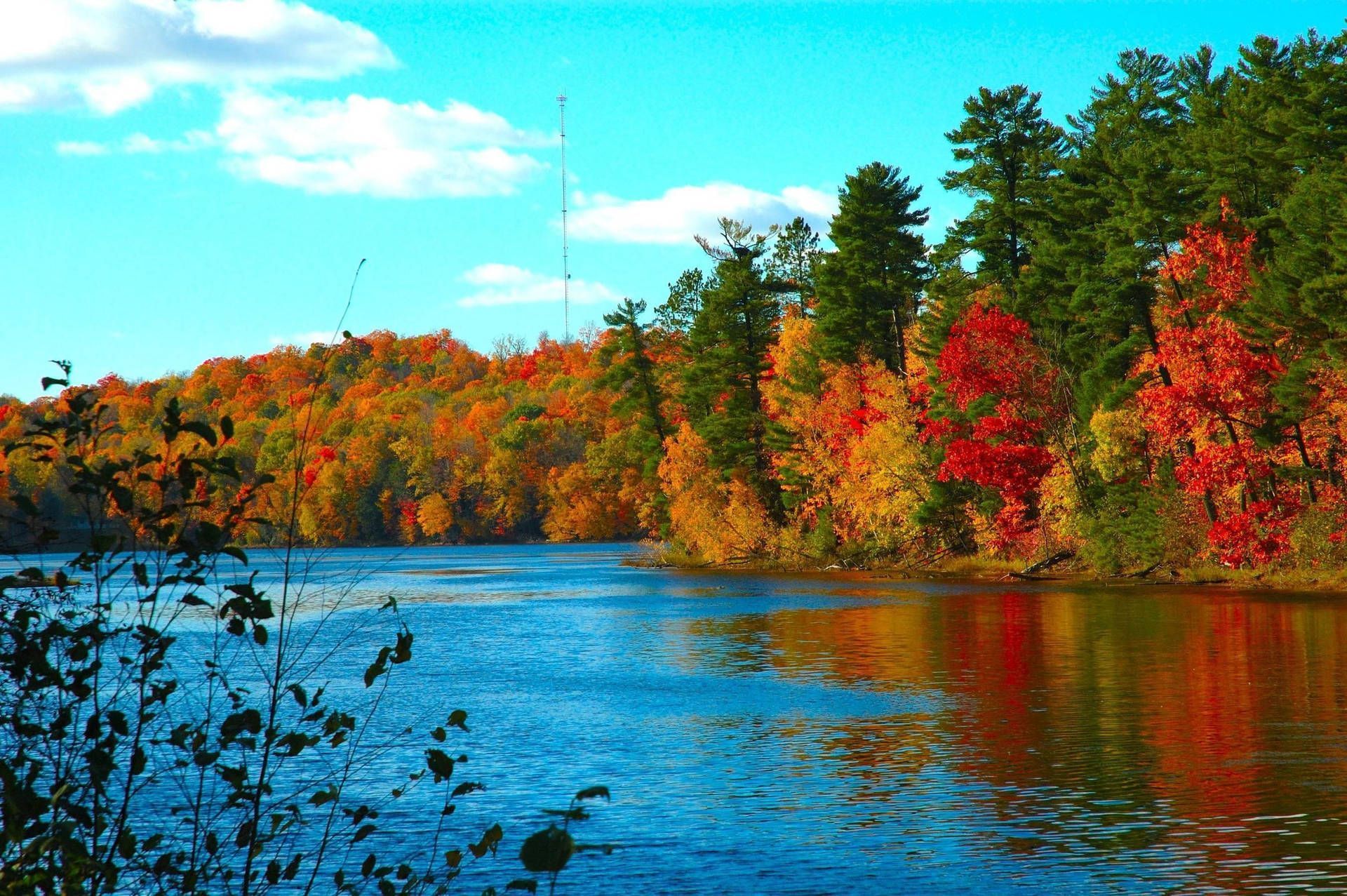 A river with trees on the bank covered in fall foliage. - Lake