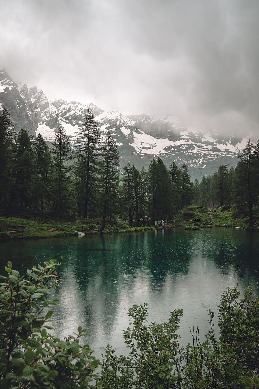 Nature, Trees, Mountains, Rain, Lake HD phone wallpaper