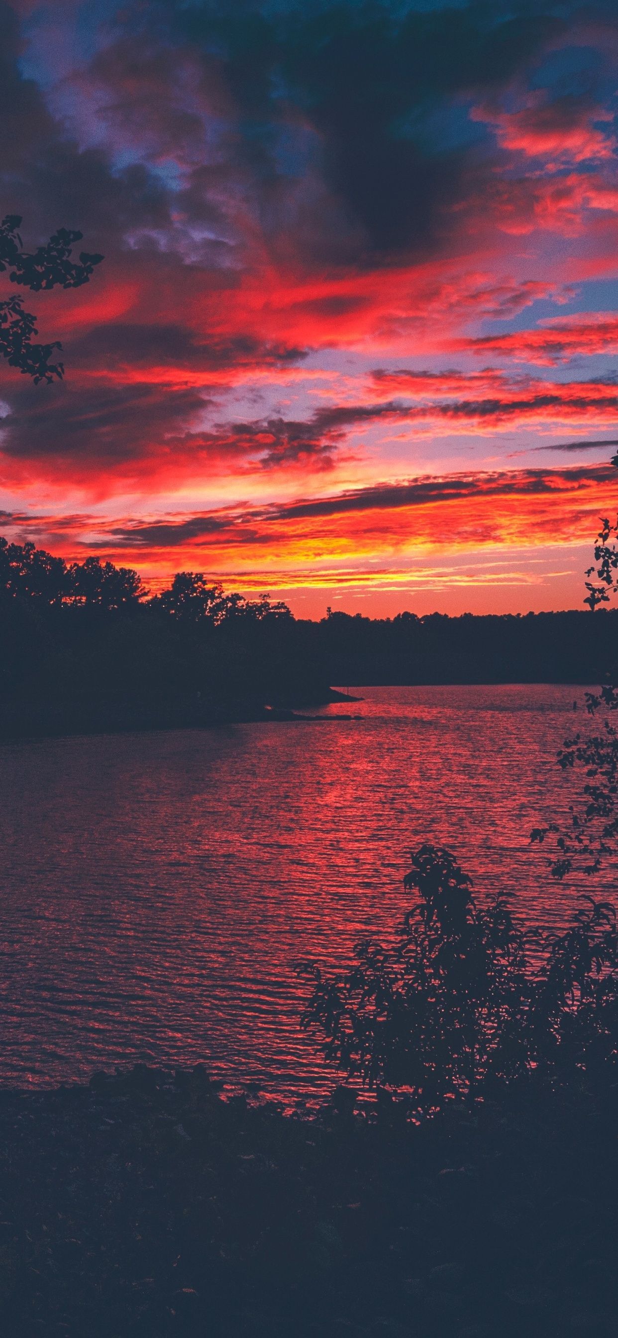 Red Evening Sunset Lake View From Forest Woods iPhone XS MAX HD 4k Wallpaper, Image, Background, Photo and Picture