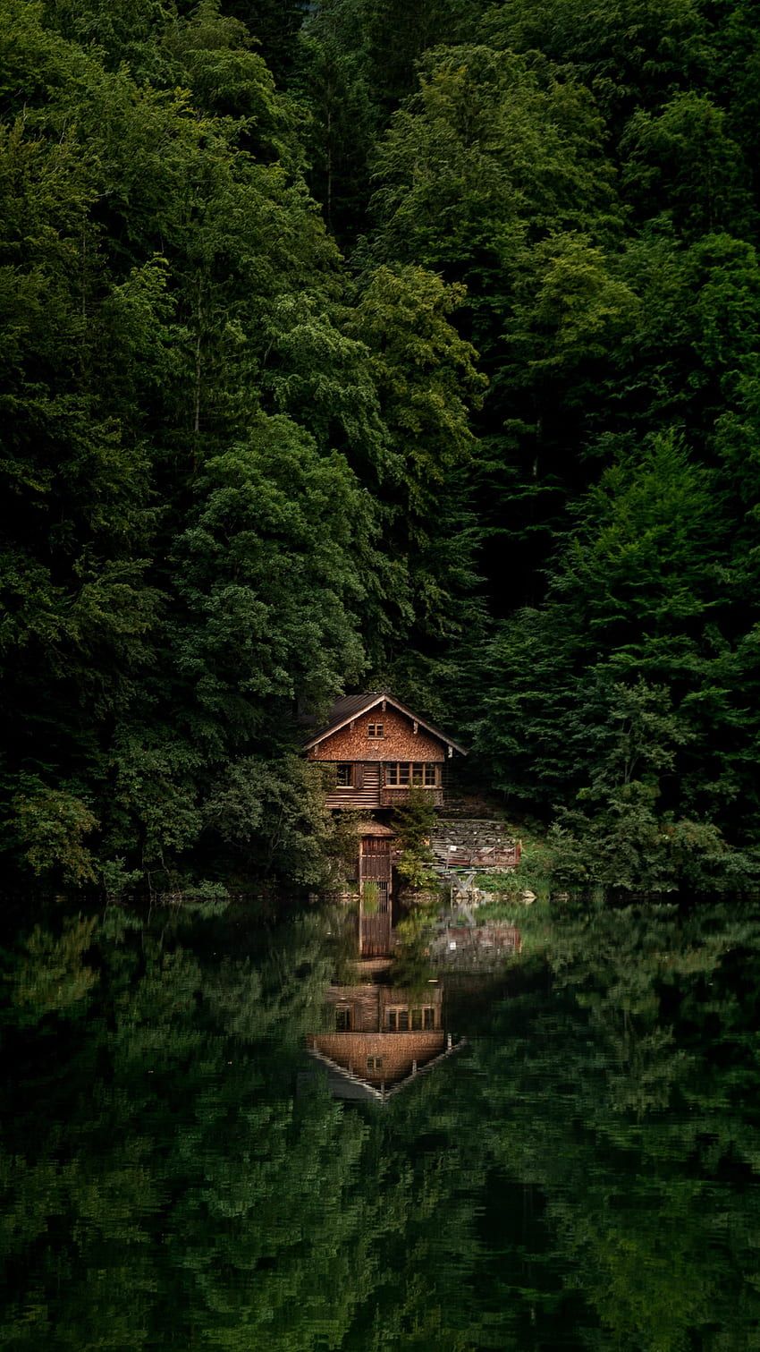 A house on the lake surrounded by trees - Lake