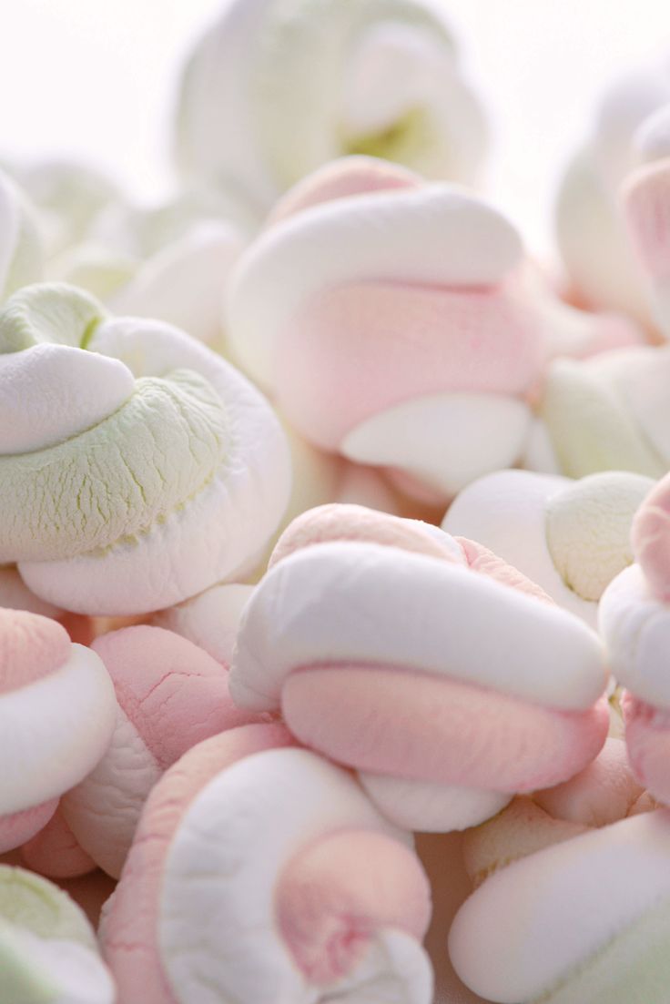 marshmallow. Cute food wallpaper, Cute marshmallows, Marshmallow