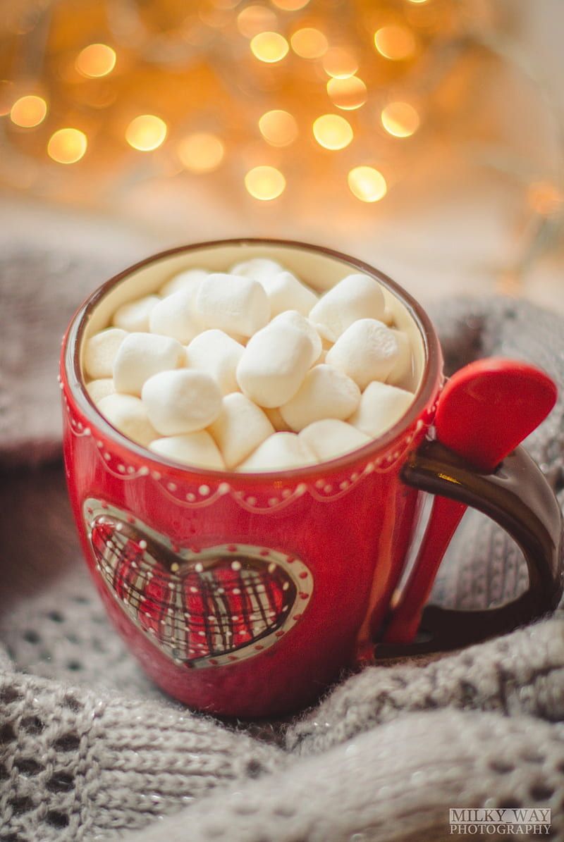 Winter cocoa, cozy, marshmallow, HD phone wallpaper