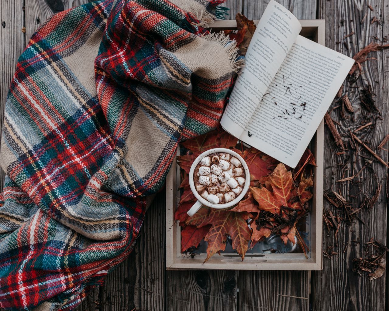 A book, mug and blanket on top of leaves - Fall, marshmallows