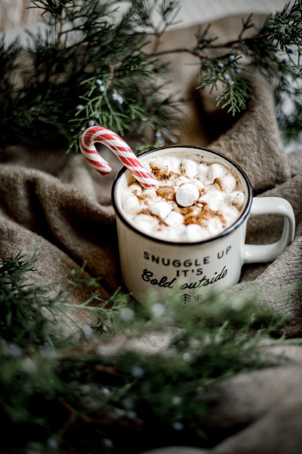 Hot Cocoa With Candy Cane And Marshmallows Picture, Photo, and Image for Facebook, Tumblr, , and Twitter