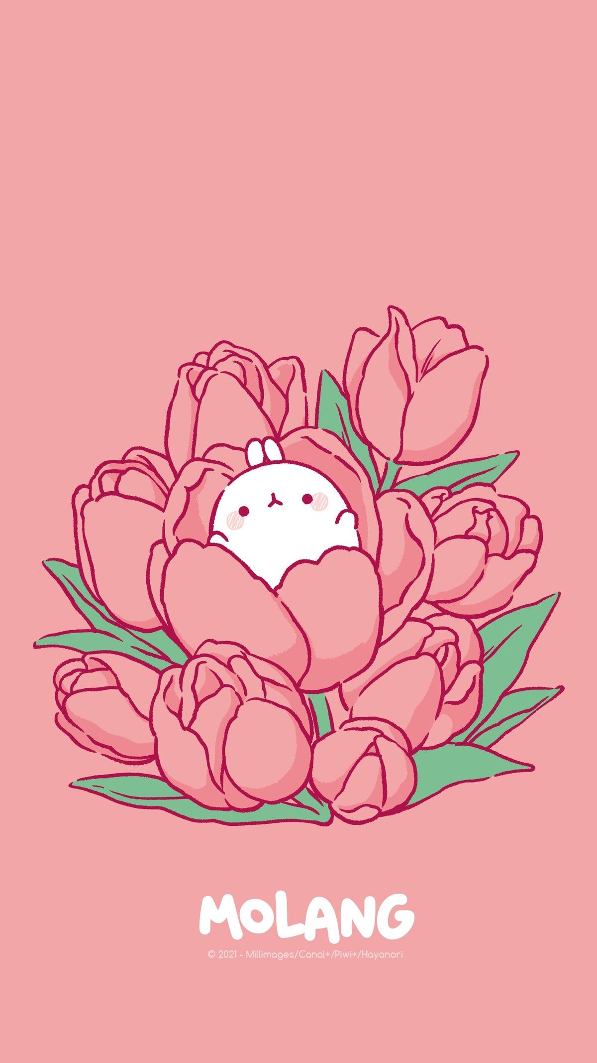 A Molang rabbit hiding in a bouquet of pink flowers on a pink background - Molang