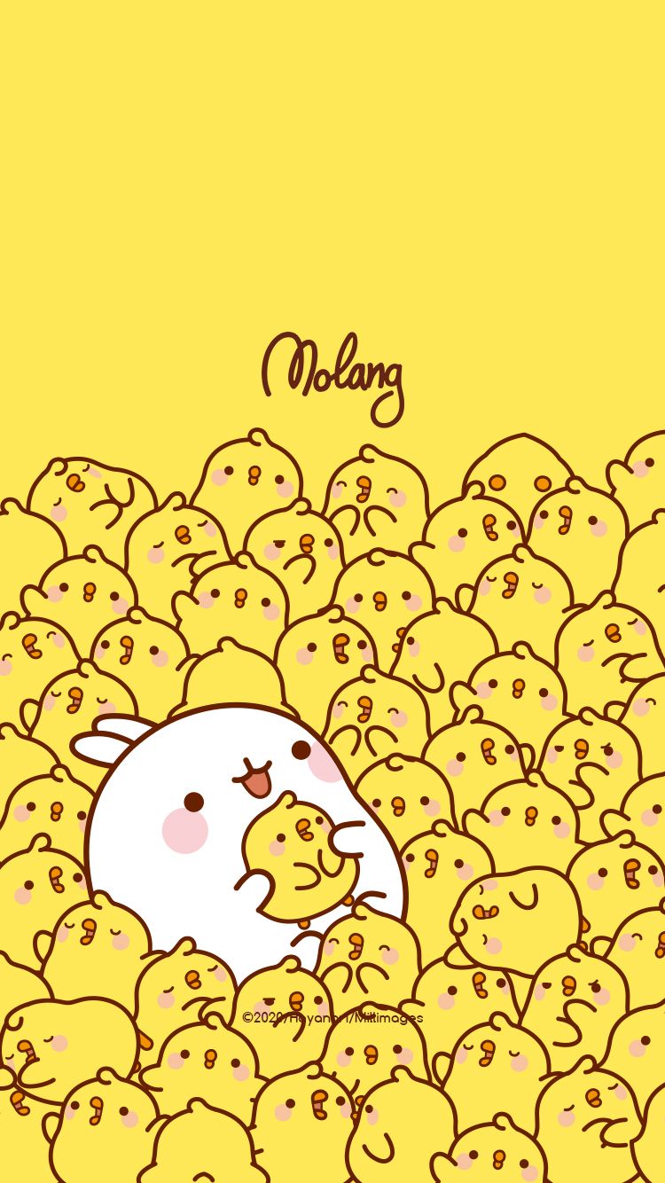 Molang with his chicks - Molang