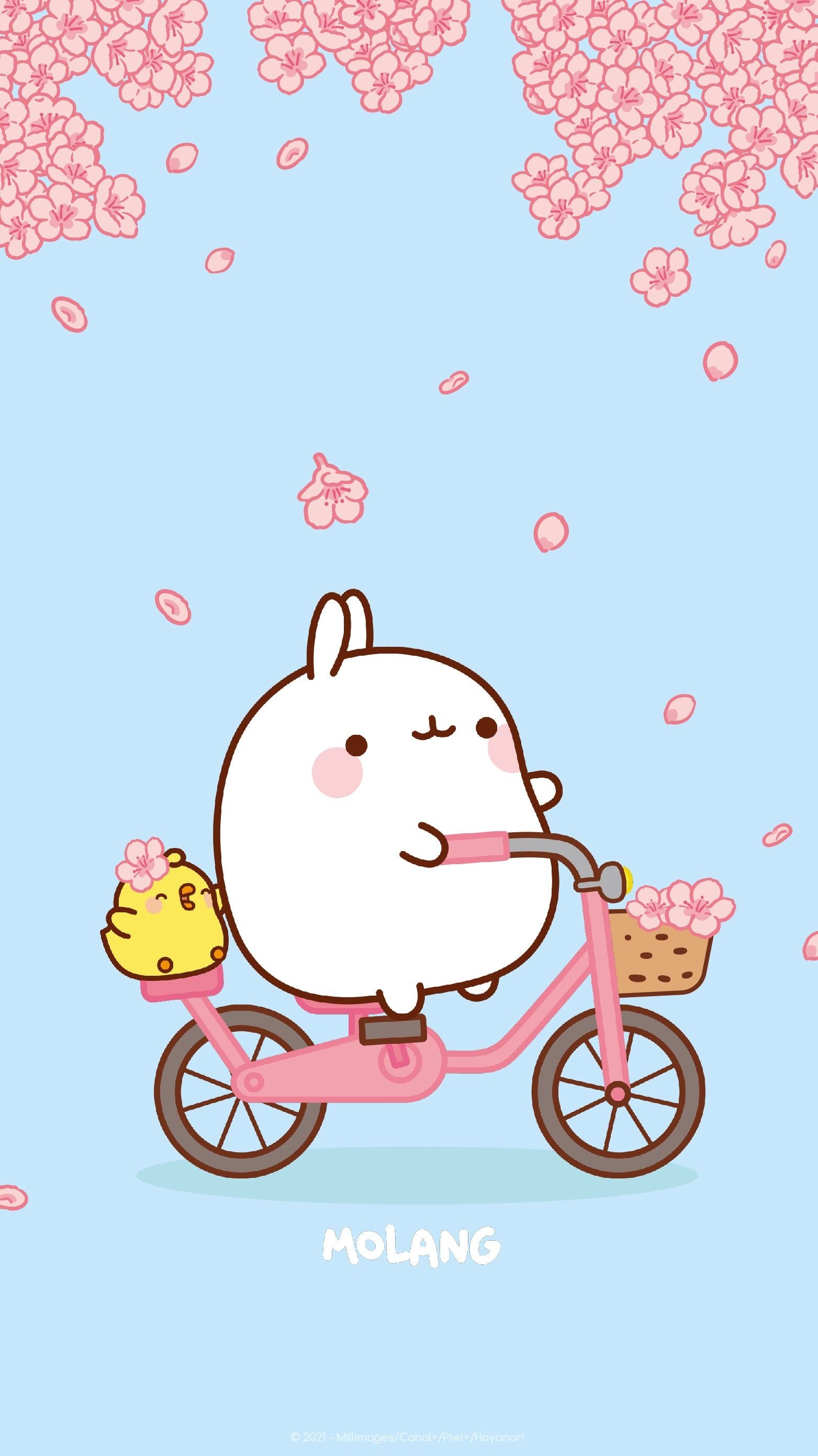 A cute cartoon bunny riding on his bike - Molang