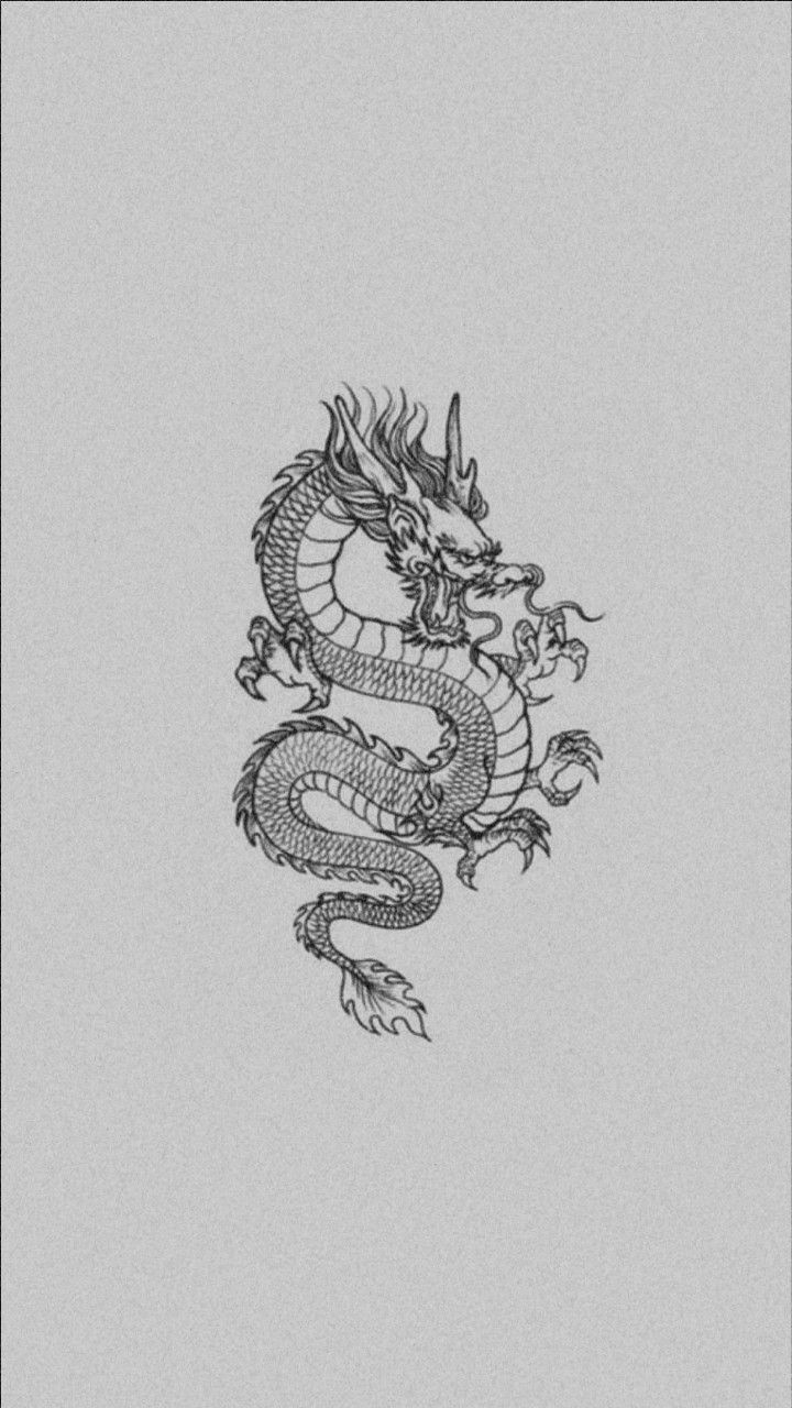 A black and white drawing of an oriental dragon - Dragon
