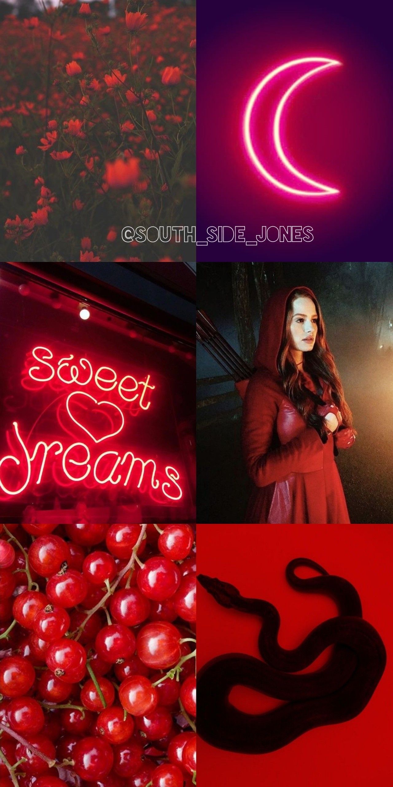 Aesthetic red wallpaper with cherry, snake, crescent moon, neon sign, and red flowers - Riverdale