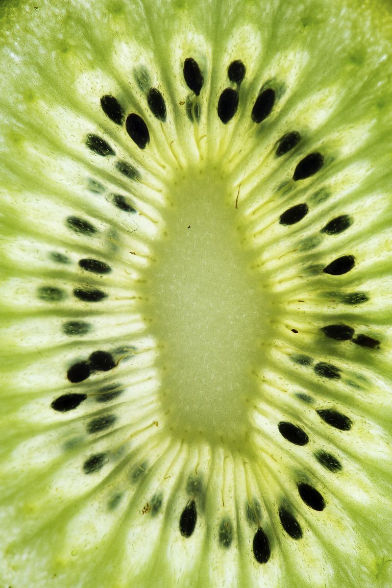 A kiwi fruit cut in half with seeds - Kiwi