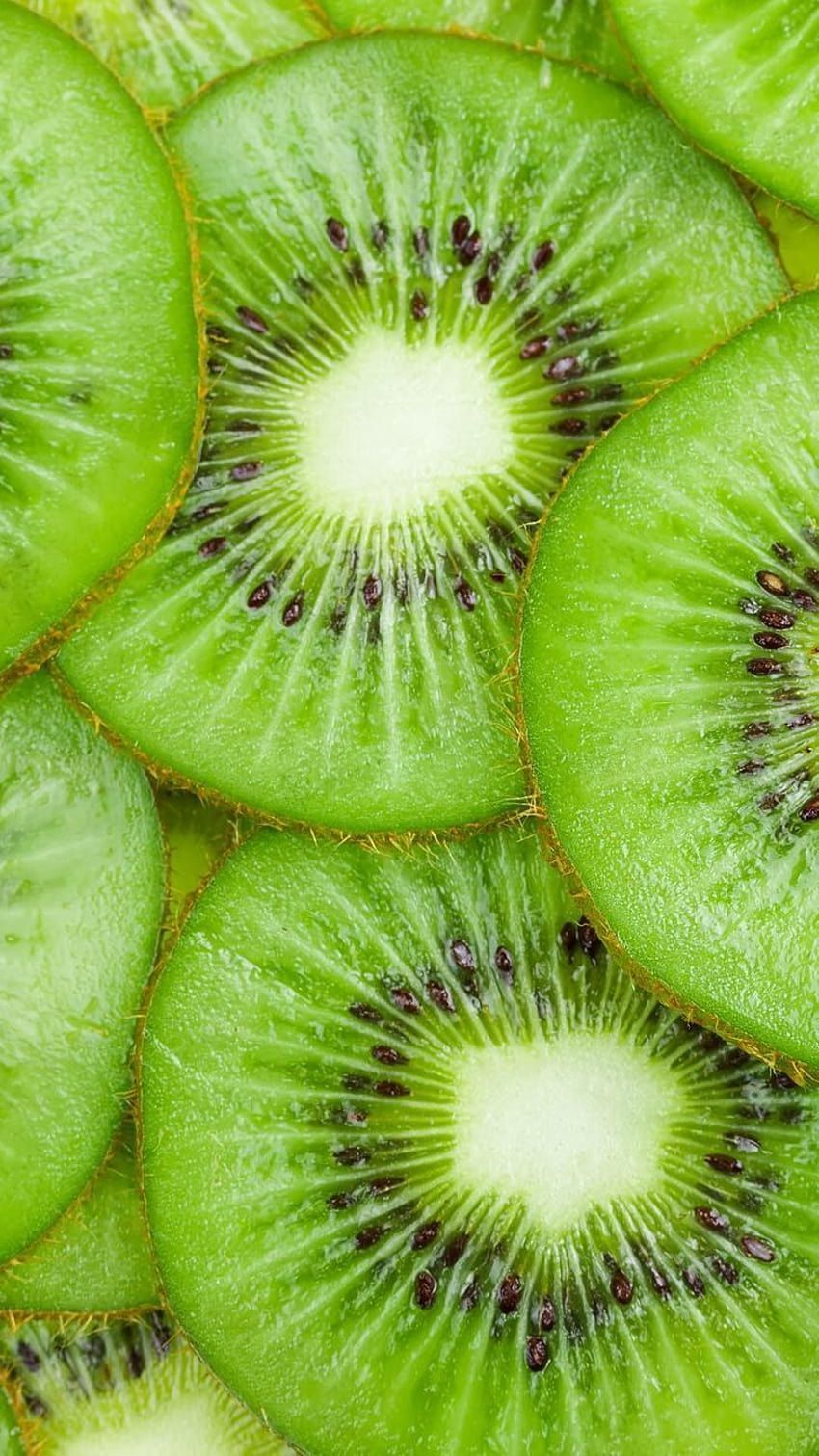 Kiwi fruit slices on a white background - Kiwi