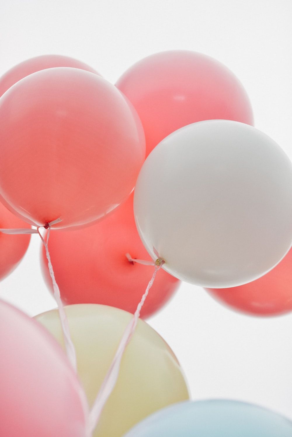 Pink Balloons Picture. Download Free Image