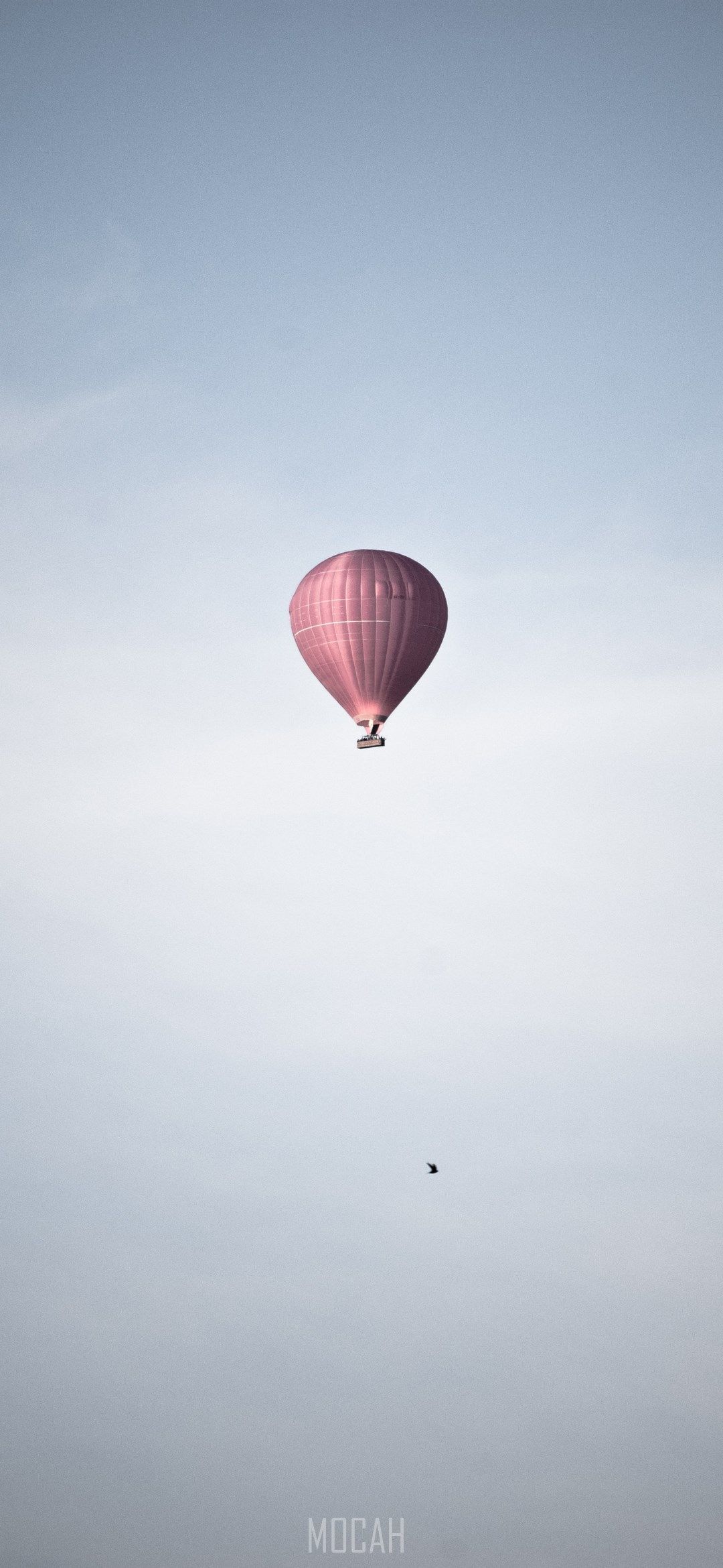 A hot air balloon flying in the sky - Hot air balloons
