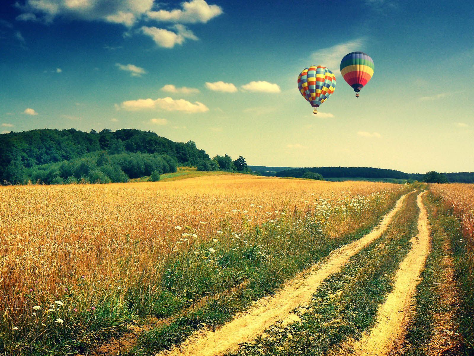 Two hot air balloons flying over a field - Hot air balloons