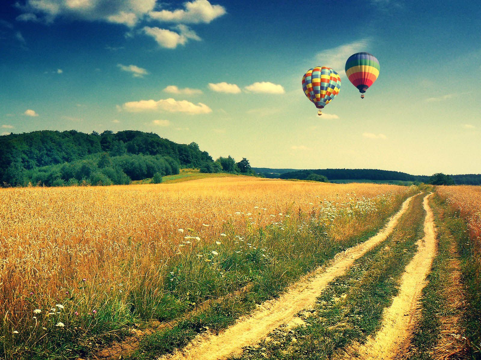 Wallpaper Hot Air Balloons