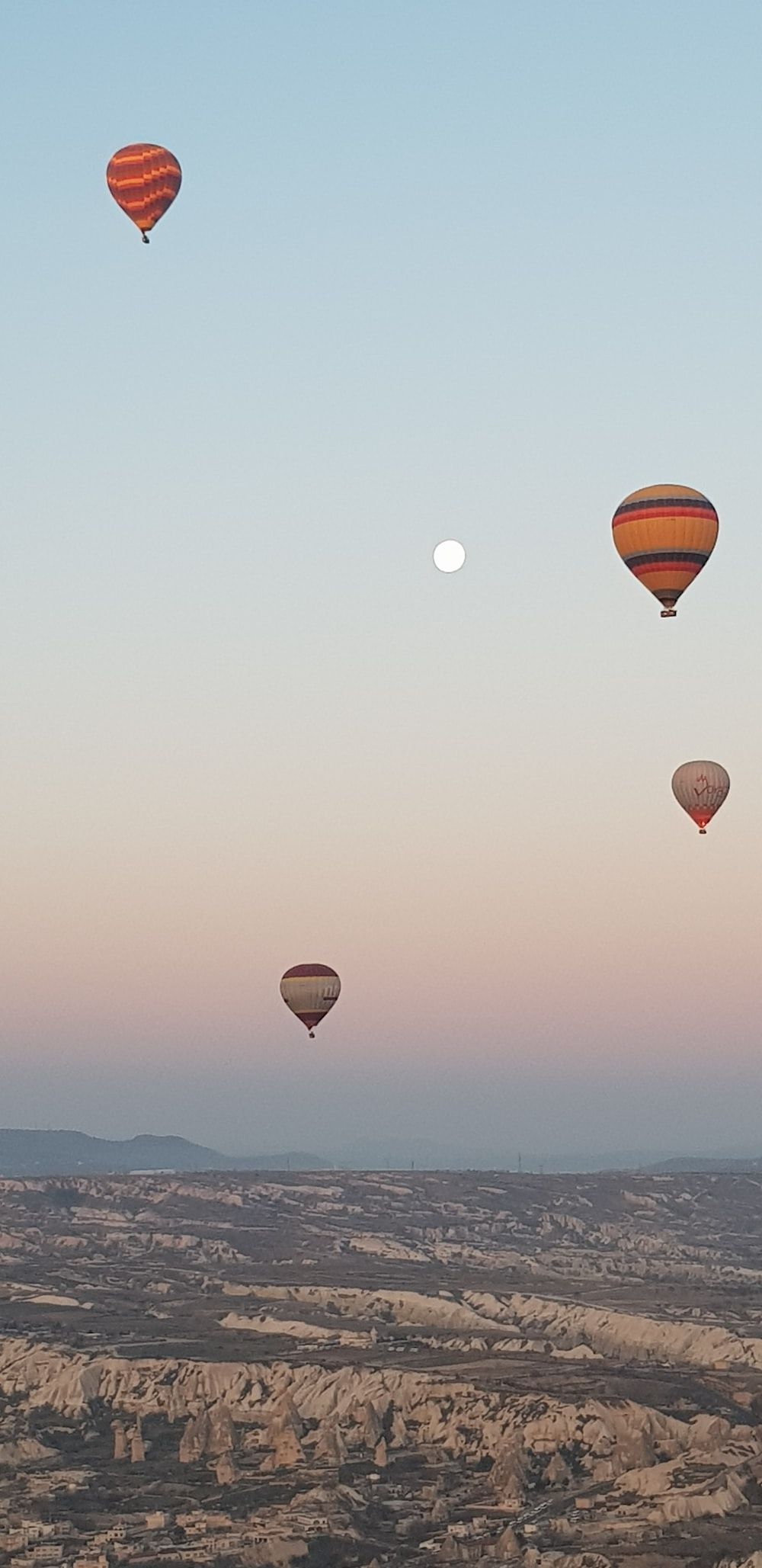 Hot air balloons flying in the sky - Hot air balloons