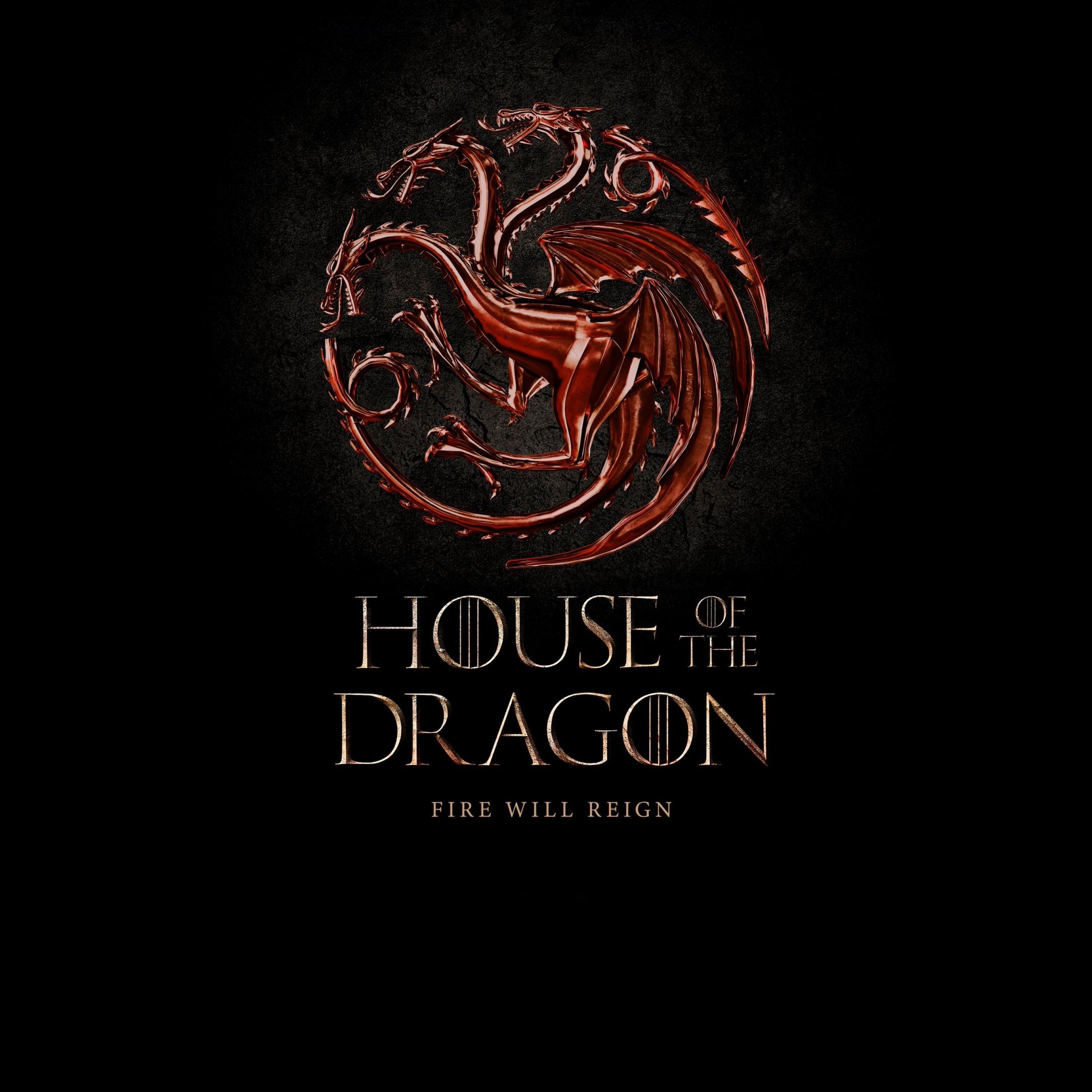 House of the dragon fire will reign - Dragon