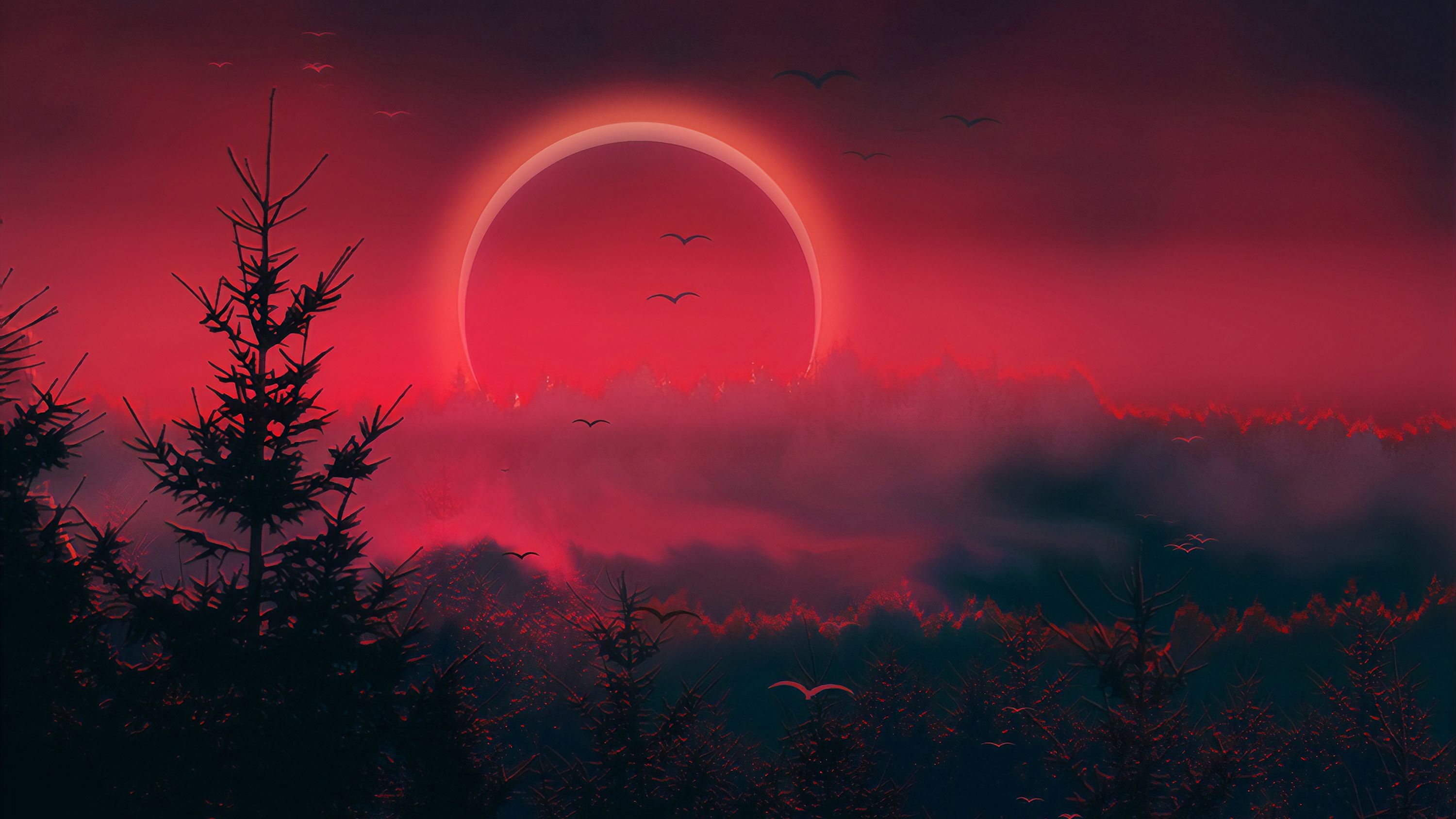 The sun, trees, birds, 4K, 5K, wallpaper, art, red, forest, sky, clouds, nature, wallpaper, desktop, background - Eclipse