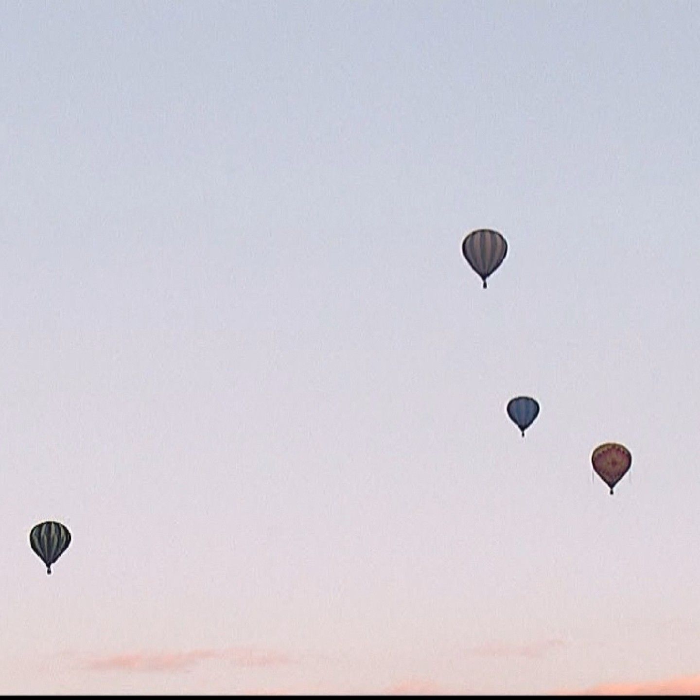 A group of hot air balloons flying in the sky - Hot air balloons