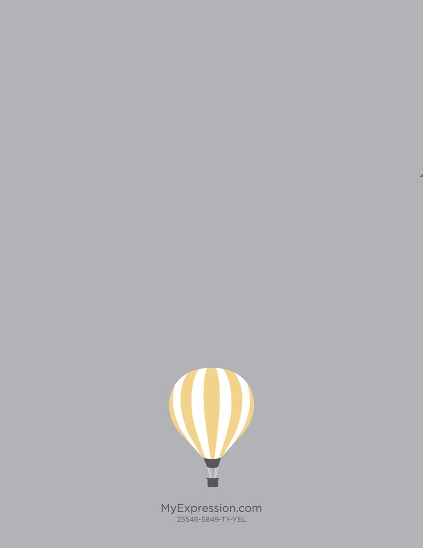 A hot air balloon is shown on the screen - Hot air balloons